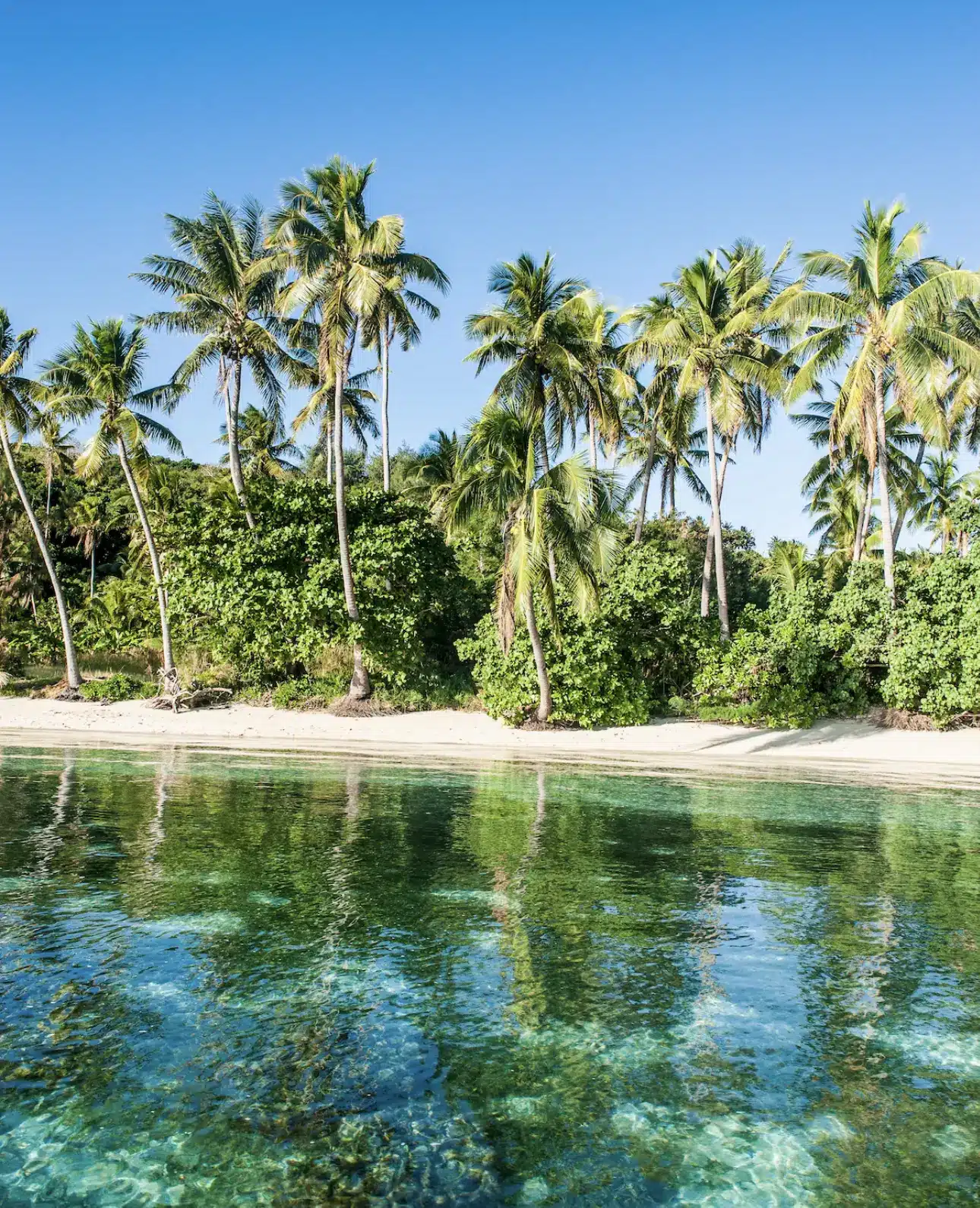 The Yasawa Islands in Fiji.